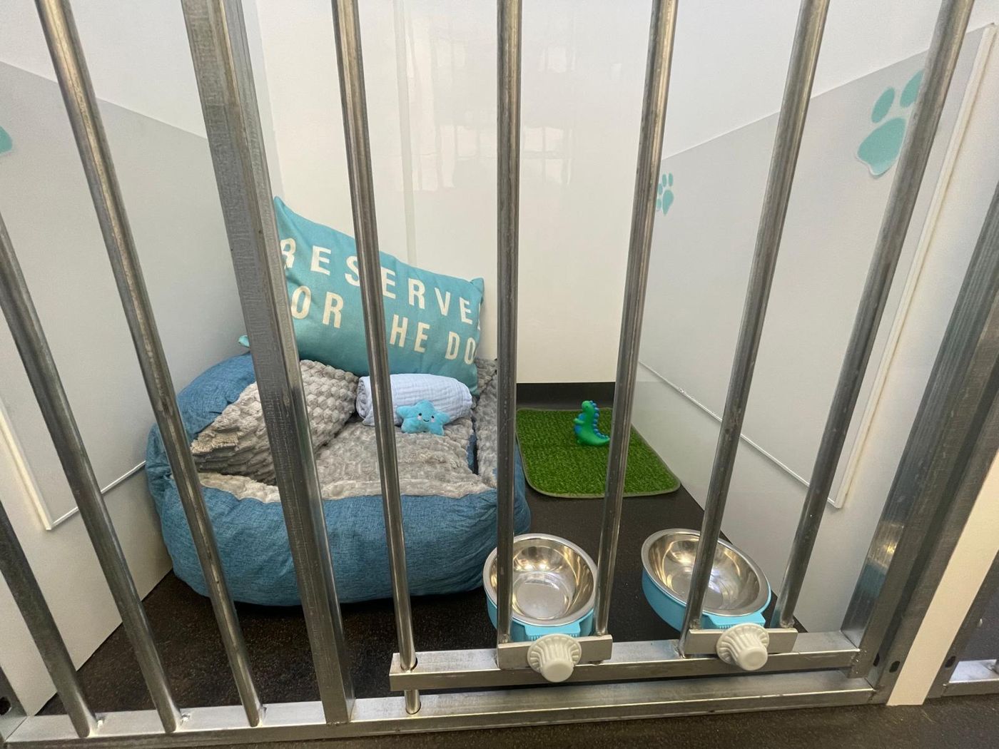 The blue kennel