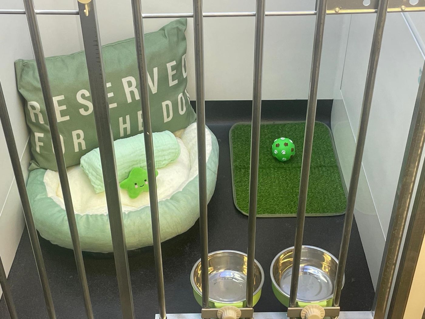 The mint kennel