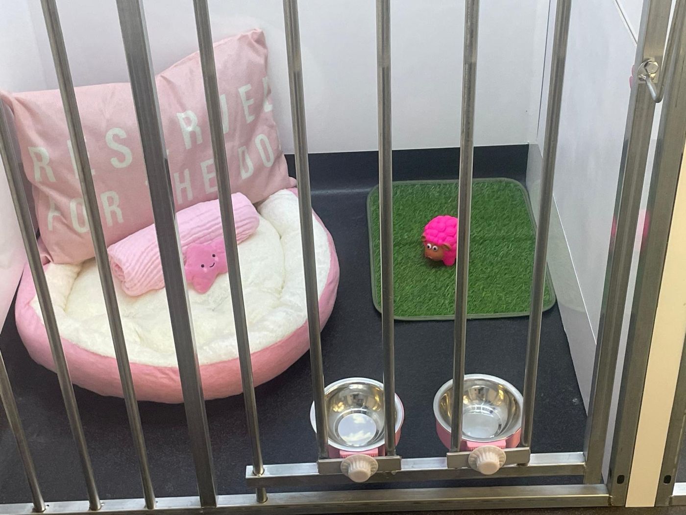 The pink kennel