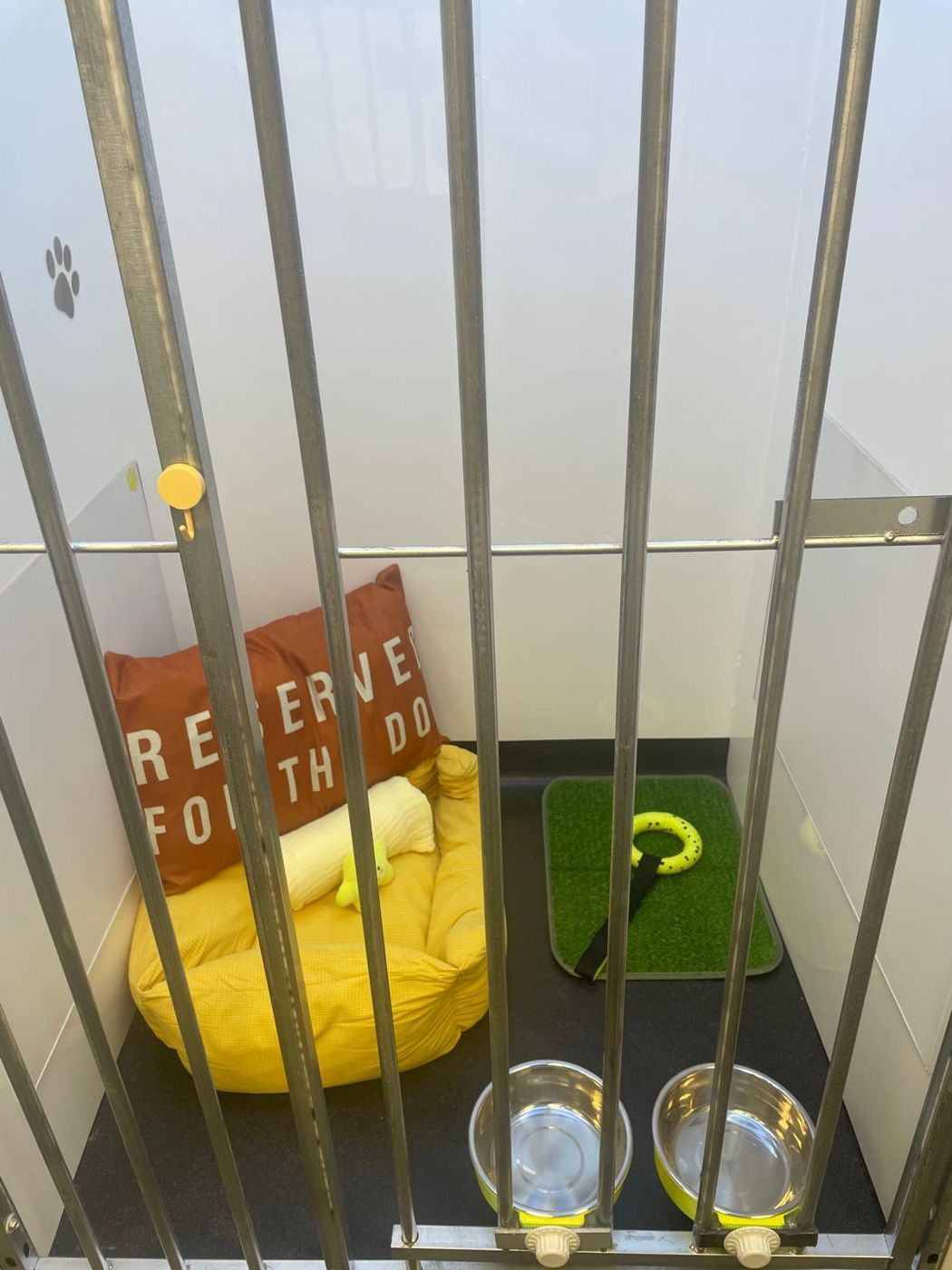 The yellow kennel
