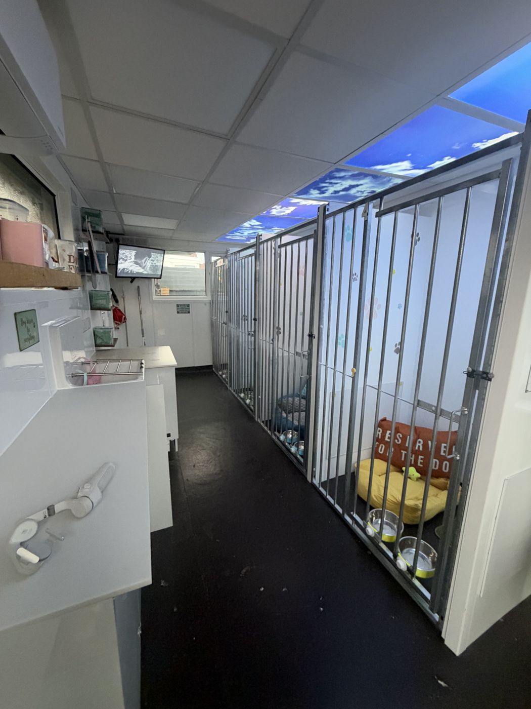 The kennel room, with blue-sky ceiling panels above the kennels